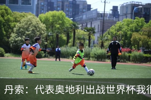 丹索：代表奥地利出战世界杯我很兴奋 朗尼克带来明确的足球哲学