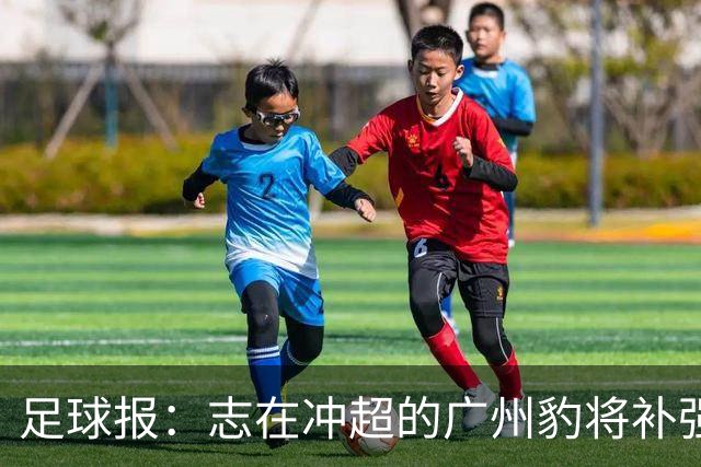 足球报：志在冲超的广州豹将补强锋线，正与目标外援前锋洽谈